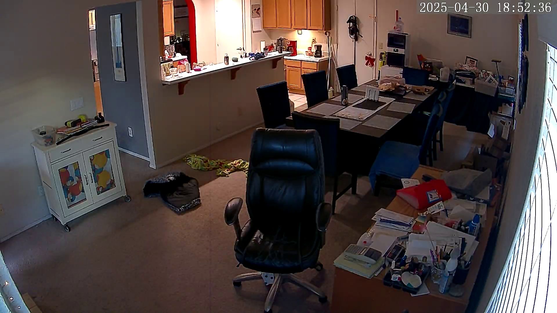 Mystery Cam