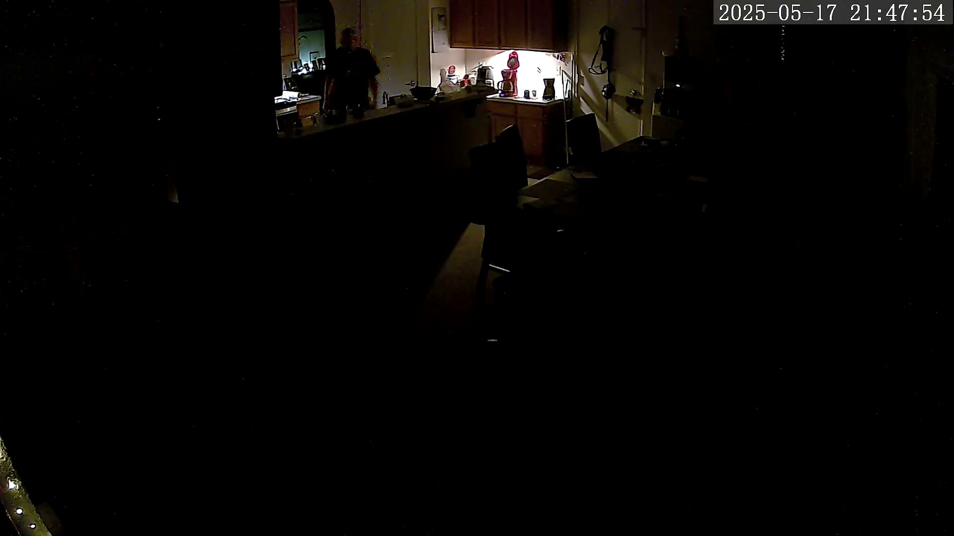 Nest Cam