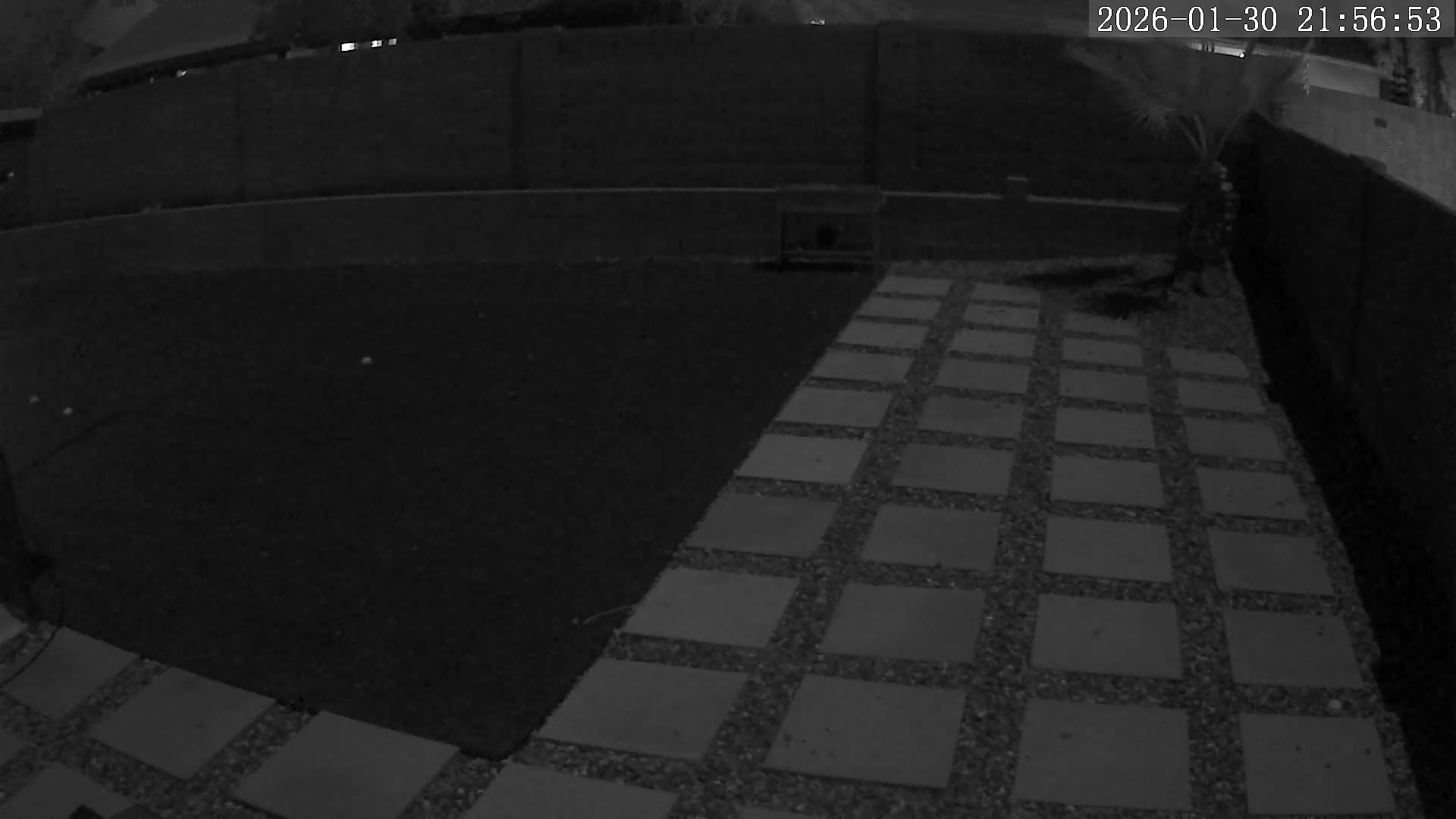 Yard Cam